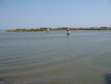 Italien Venetien Marano Lagunare 006.JPG